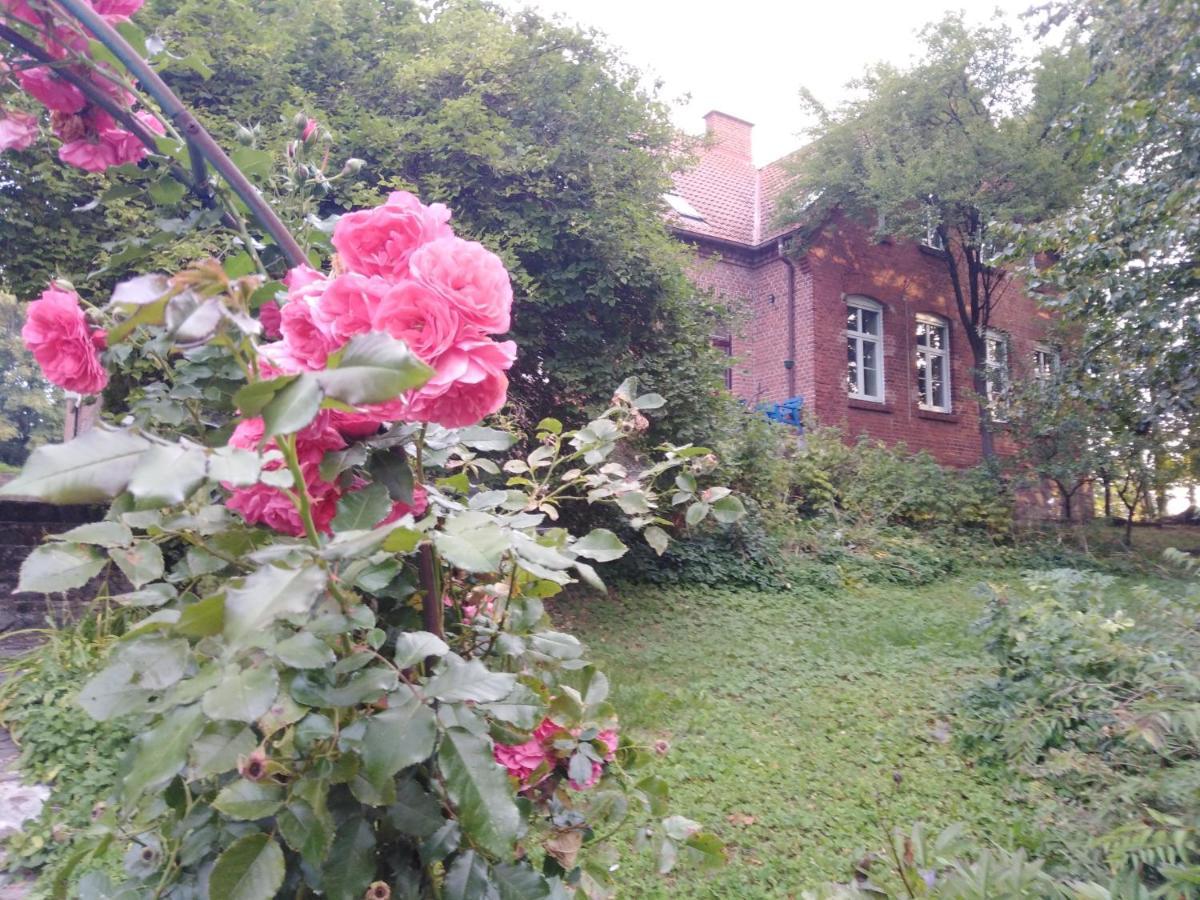 Alte Schule Am See Biskupiec  Dış mekan fotoğraf