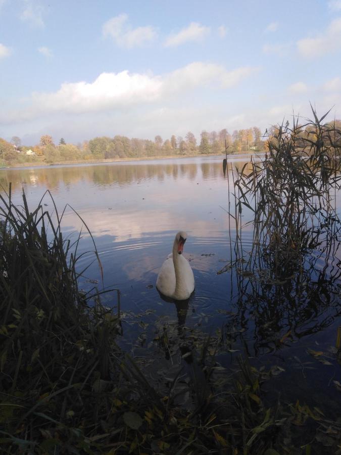 Alte Schule Am See Biskupiec  Dış mekan fotoğraf